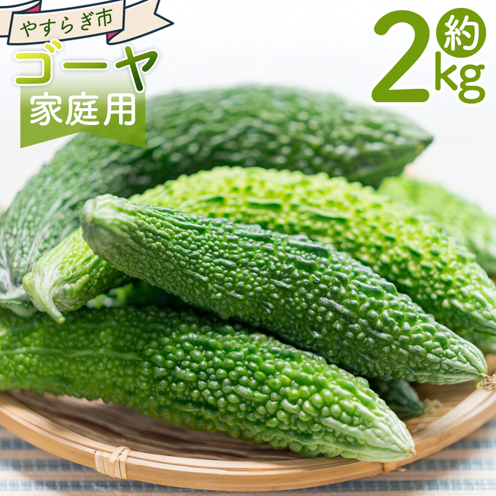 【2025年10月以降順次発送】ゴーヤ 2kg 家庭用 - 国産 野菜 青果 ごうや 苦瓜 天ぷら 炒め物 ご家庭用 不揃い 傷 やすらぎ市 高知県 香南市 常温 yr-0074高知県香南市9000野菜・きのこその他 野菜