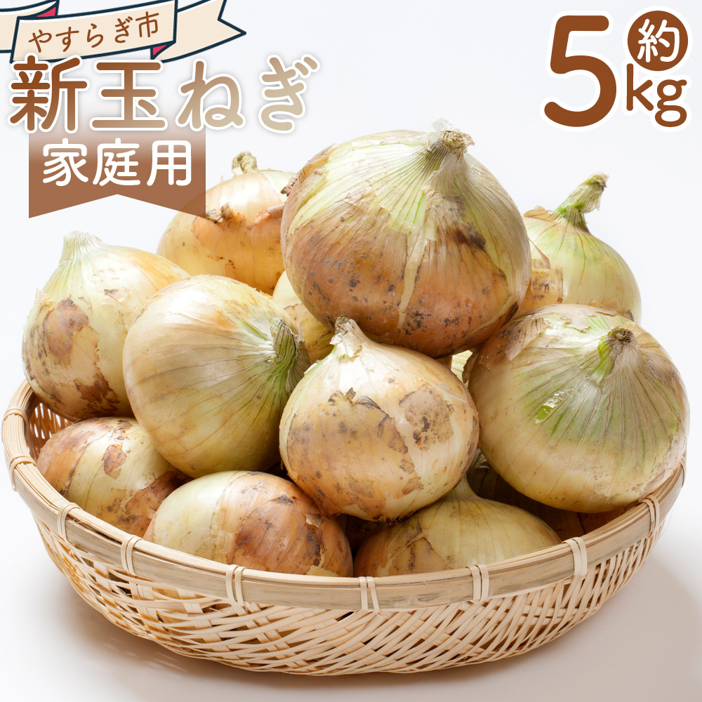 【2026年3月以降順次発送】新玉ねぎ 5kg 家庭用 - 国産 野菜 青果 たまねぎ タマネギ 玉葱 オニオン ご家庭用 不揃い 傷 やすらぎ市 高知県 香南市 冷蔵 yr-0079高知県香南市9000野菜・きのこ玉