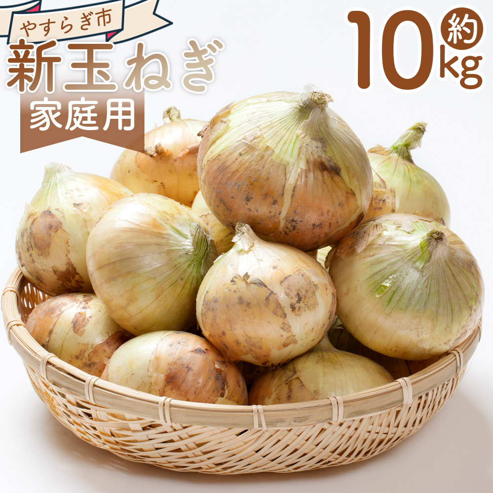 【2026年3月以降順次発送】新玉ねぎ 10kg - 国産 野菜 青果 たまねぎ タマネギ 玉葱 オニオン ご家庭用 不揃い 傷 やすらぎ市 高知県 香南市 冷蔵 家庭用 yr-0080高知県香南市13000野菜・きのこ玉