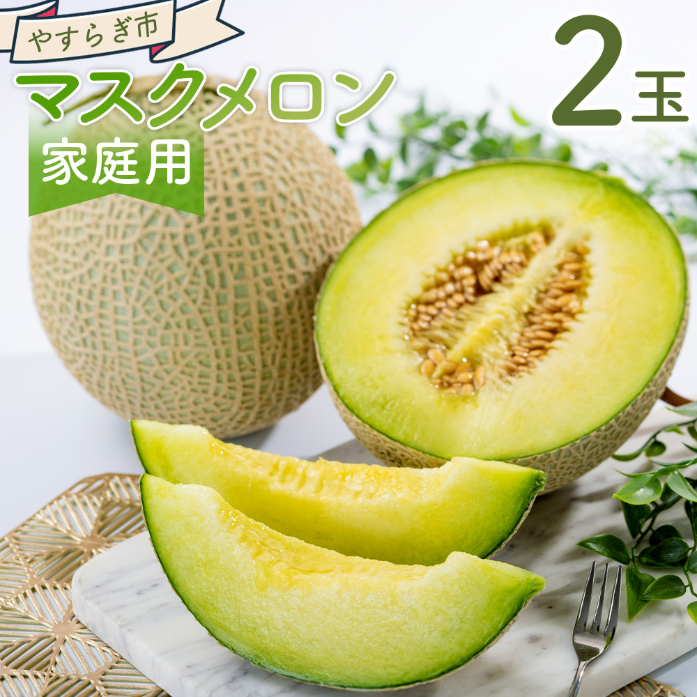 マスクメロン 2玉 家庭用 - 国産 メロン 果物 フルーツ 青果 濃厚 デザート 訳あり 訳アリ ご家庭用 不揃い 傷 やすらぎ市 高知県 香南市 常温 yr-0089高知県香南市21000果物・フルーツメロン・