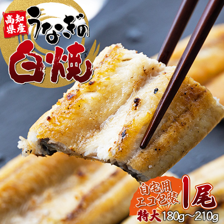 高知県産うなぎの白焼 特大サイズ 1尾(180〜210g)  タレ付き 自宅用エコ包装 鰻 国産 吉川水産 高知県 香南市 yw 冷凍  yw-0042高知県香南市13000魚介・海産物うなぎ