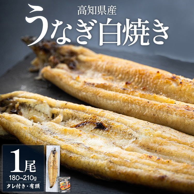 高知県産うなぎの白焼き 180〜210g×1尾 - エコ包装 国産 うなぎ 白焼き 鰻 冷凍 高知 yw-0062高知県香南市11500魚介・海産物うなぎ
