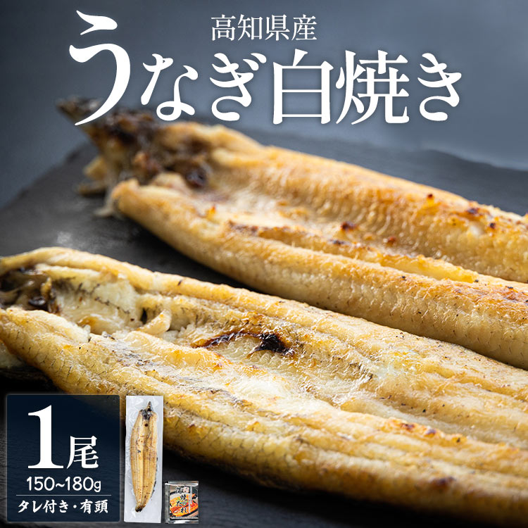 高知県産うなぎの白焼き 150〜180g×1尾 - エコ包装 国産 うなぎ 白焼き 鰻 冷凍 高知 yw-0113高知県香南市11500魚介・海産物うなぎ