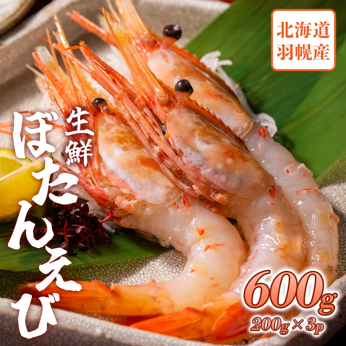超速リキッド凍結でドリップゼロ!北海道羽幌産生鮮ぼたんえび 600g【0311801】北海道羽幌町23000魚介・海産物エビ