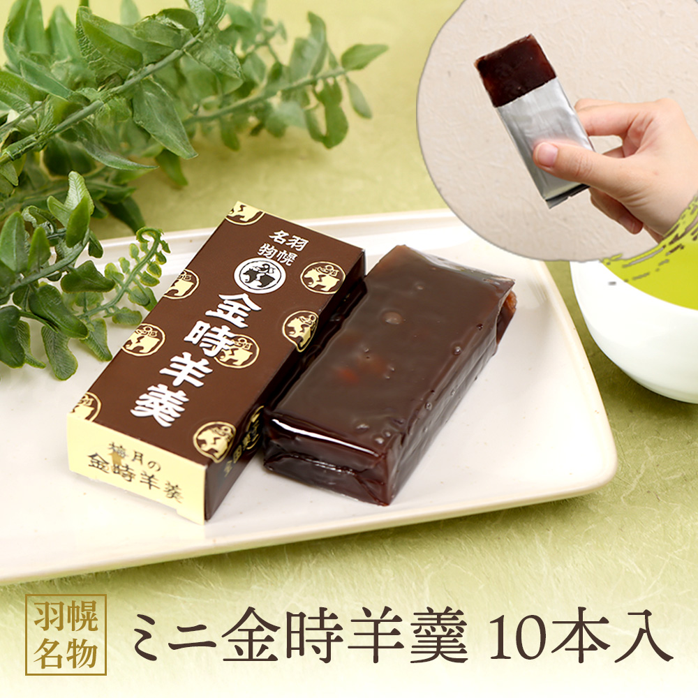 羽幌名物 ミニ金時羊羹10本入【11111】北海道羽幌町15000菓子・スイーツ饅頭・羊羹・大福