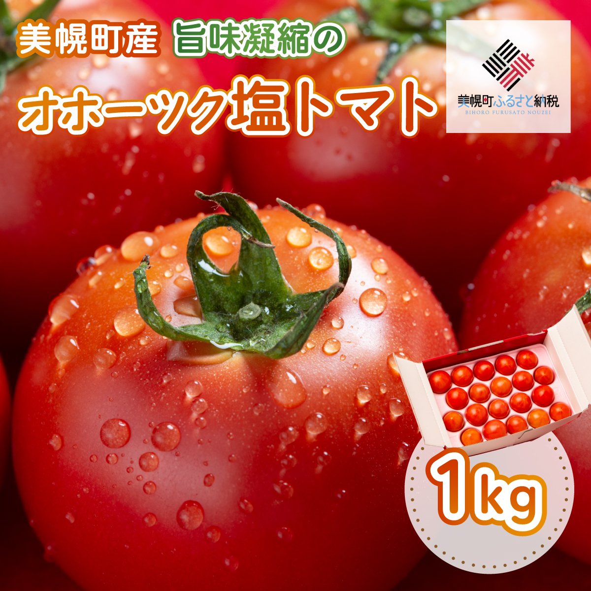 【先行受付】美幌町産・旨味凝縮のオホーツク塩トマト 約1kg BHRG006北海道美幌町10000野菜・きのこトマト