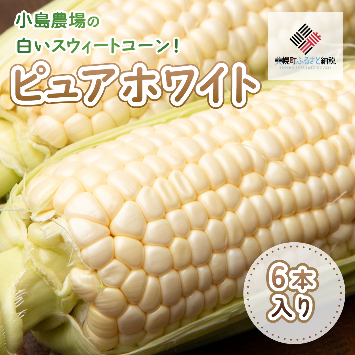 ystz_̔XEB[gR[!sAzCg6{yzsnFEꌧz BHRG013kCy14000؁ÊƂ낱