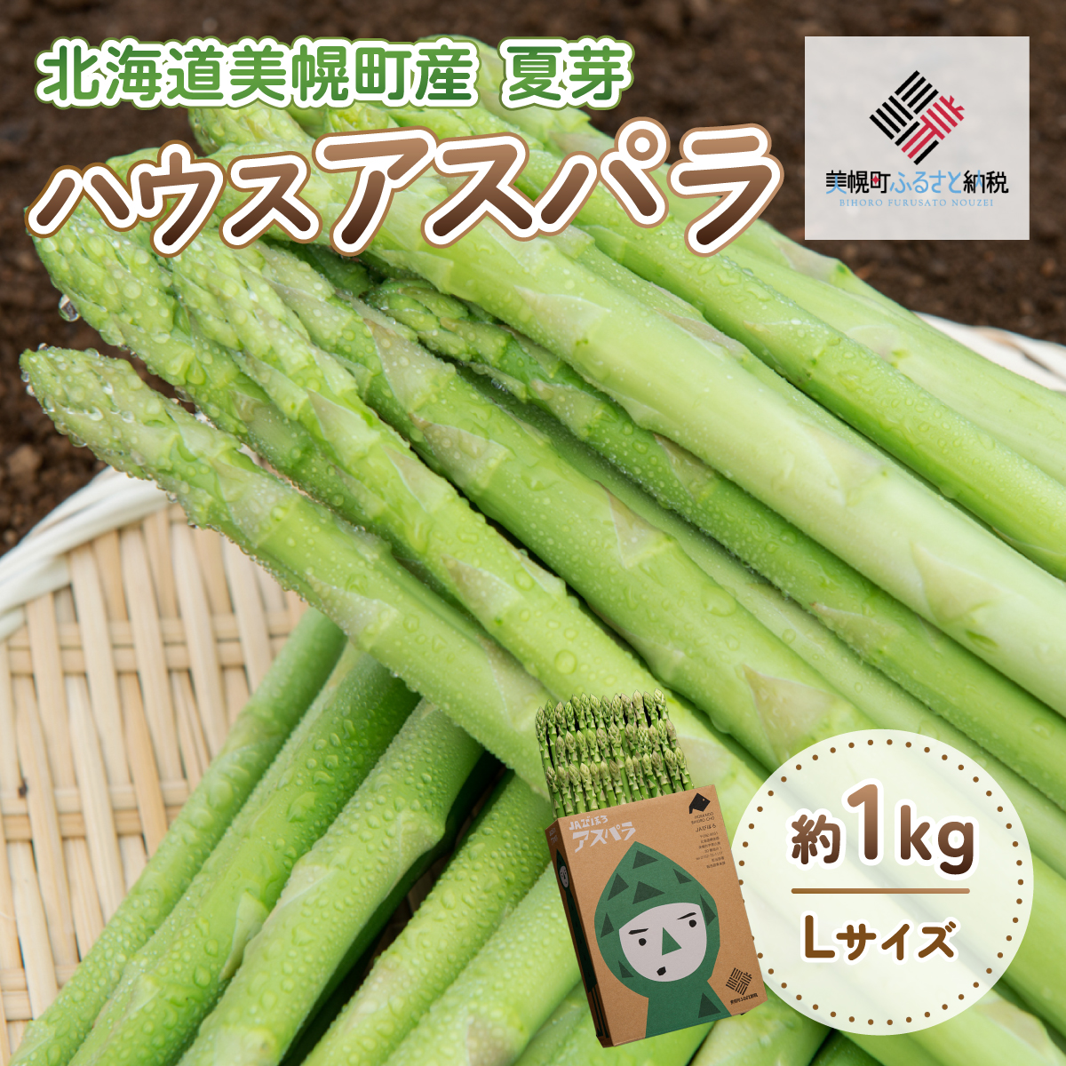 2025年産 ハウスアスパラ(夏芽) L サイズ 約1kg【配送不可地域:離島】 BHRG017北海道美幌町11000野菜・きのこその他 野菜