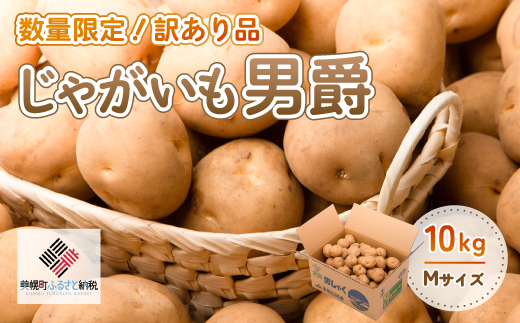 「数量限定訳あり品」じゃがいも「男爵」Mサイズ・10kg BHRG061北海道美幌町9000野菜・きのこじゃがいも・イモ類