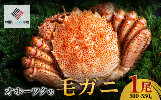 Iz[cN̖уKj@[500g`550g×1]yzsnFz BHRI002kCy26000ECYJj