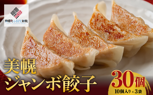 美幌ジャンボ餃子 30個(10個入り×3袋)【配送不可地域:離島】 BHRI023北海道美幌町12000鍋セット・総菜・加工食品総菜