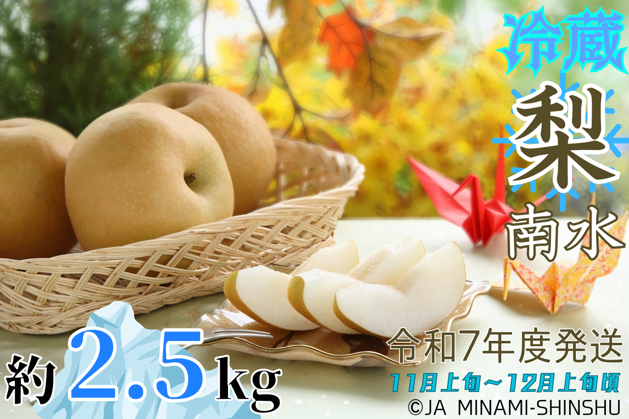 冷蔵 梨(南水)【太鼓判・優糖生】約2.5kg長野県喬木村12000果物・フルーツりんご・梨