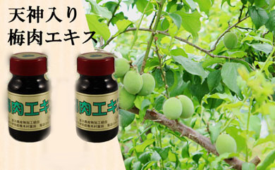 手づくりふる里の味 梅肉エキス長野県喬木村12000菓子・スイーツその他 和菓子