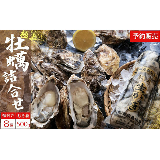 【2025シーズン受付開始!】11月中旬から順次発送予定 奥松島産 極上 カキ詰合せ カキむき身500g1本+殻付きカキ8個 牡蠣 かき カキ 殻付き牡蠣 剥き身宮城県東松島市14000魚介・海産物貝類