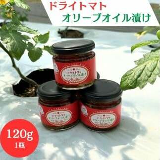 ドライトマト オリーブオイル 漬け 120g 瓶詰 つまみ お酒のあて お酒のつまみ ワインのおつまみ パスタ ピザ サラダ 自家栽培 ミニトマト Y宮城県東松島市6000野菜・きのこトマト