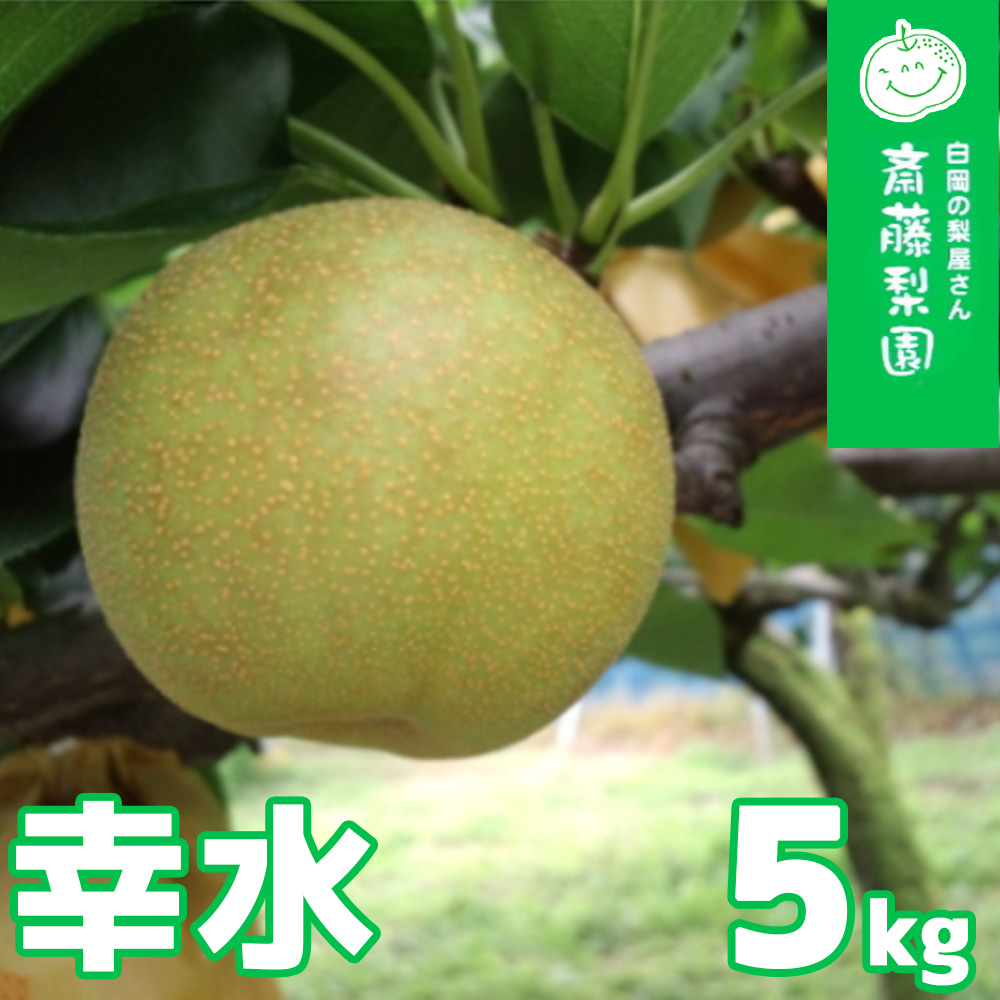 【2026年発送分 先行予約】白岡・下野田 斎藤さんちの美味しい梨 幸水 約5kg 【11246-0360】埼玉県白岡市16000果物・フルーツりんご・梨