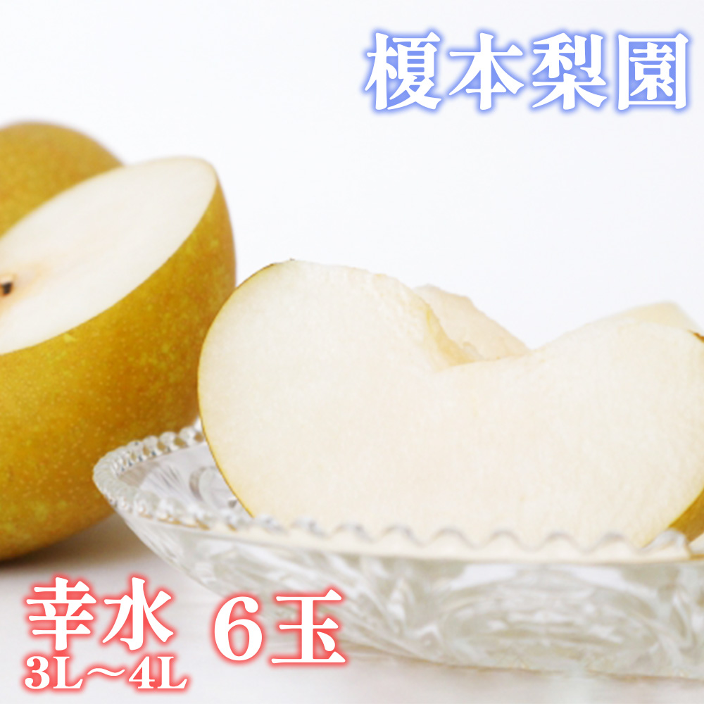 ys\zyKi3L`4Lj6ʁzyÂ肩炱I|{́uv@y2025N8{蔭zy11246-0061zʌs11000ʕEt[c񂲁E
