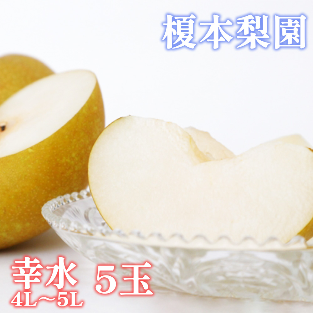 ys\zyKi4L`5Lj5ʁzyÂ肩炱I|{́uvy2025N8{蔭z@y11246-0143zʌs12000ʕEt[c񂲁E