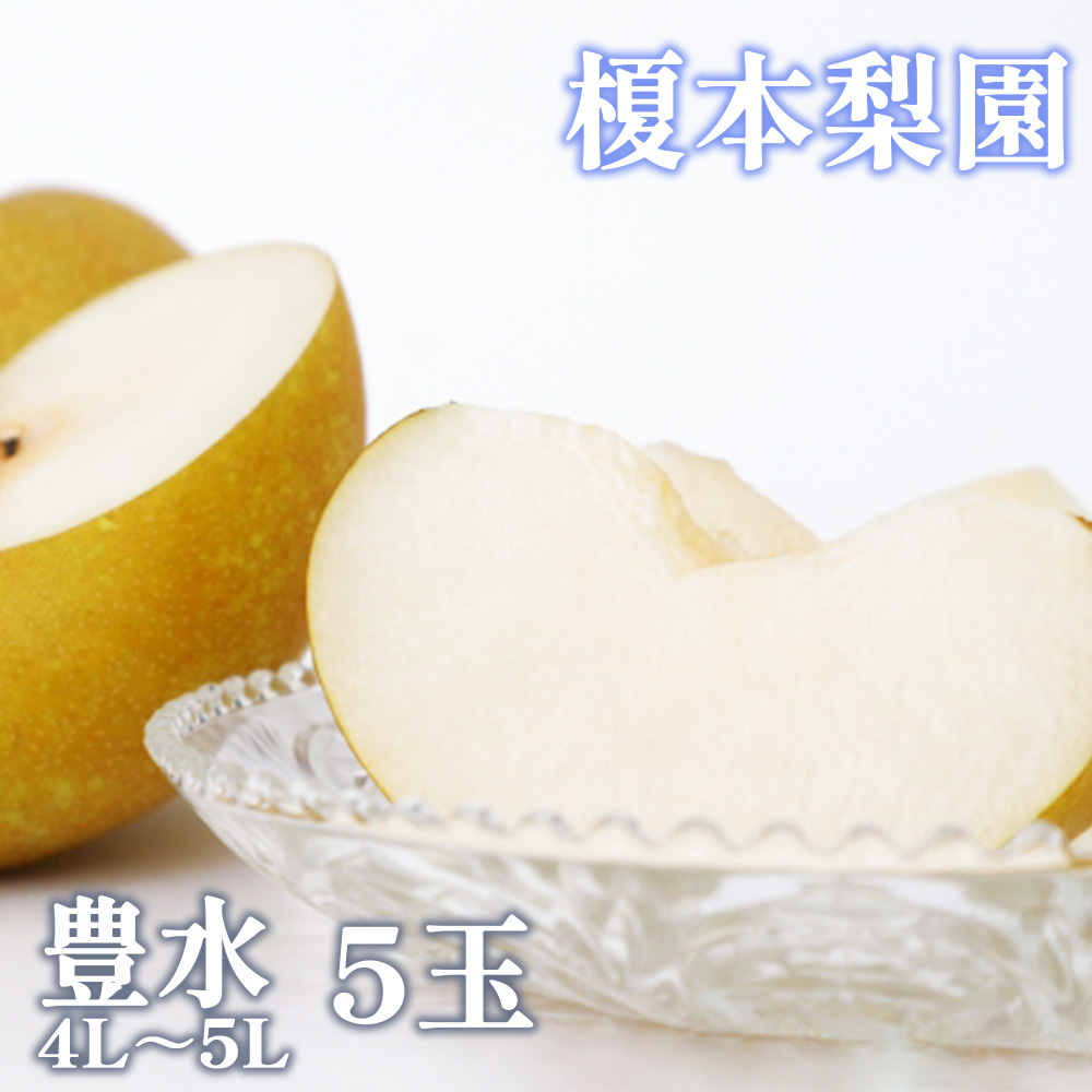 【先行予約】果汁したたる榎本梨園自慢の完熟梨 豊水5玉(4L〜5L)【2025年9月上旬より発送】 【11246-0144】埼玉県白岡市12000果物・フルーツりんご・梨