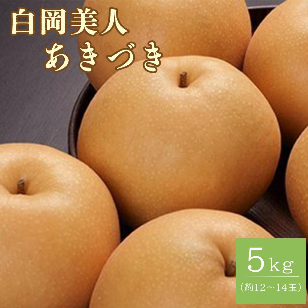 白岡の梨「白岡美人」あきづき梨約5kg(12〜14玉) 【11246-0084】埼玉県白岡市23000果物・フルーツりんご・梨