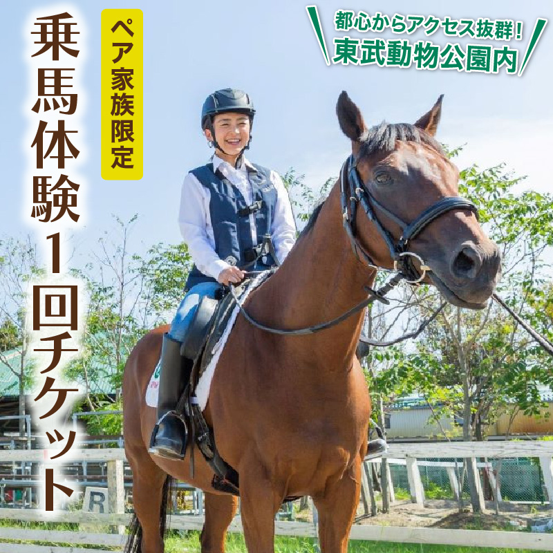 乗馬体験１回コース【東武乗馬クラブ＆クレイン】【11246-0206】 | 埼玉県白岡市 | JRE MALLふるさと納税