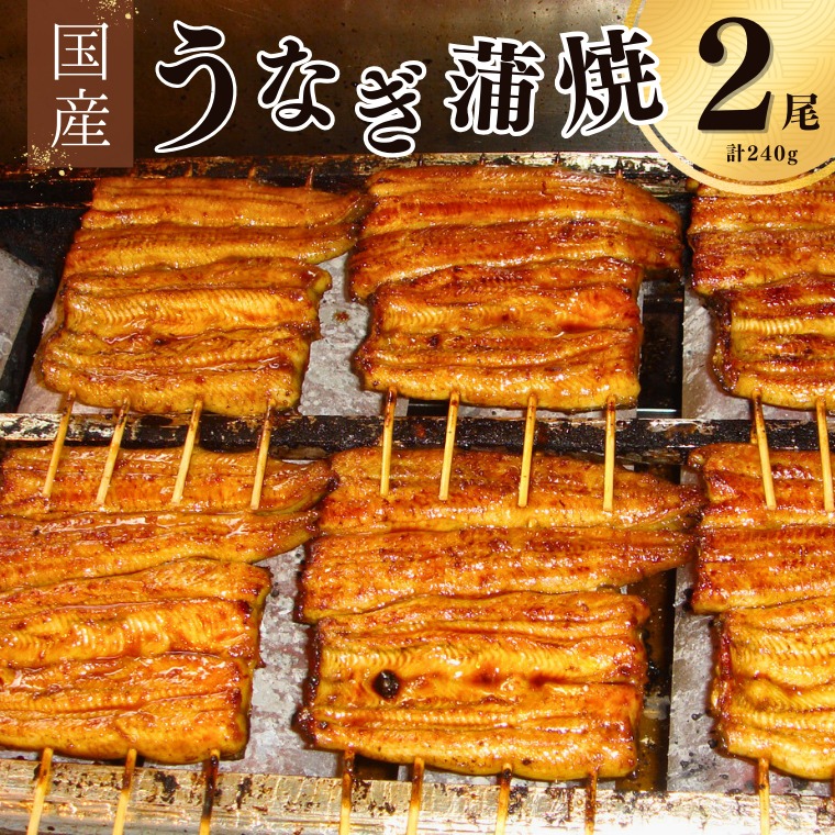 18506002 【安井家】国産鰻蒲焼 約120g×2パック千葉県我孫子市26000魚介・海産物
