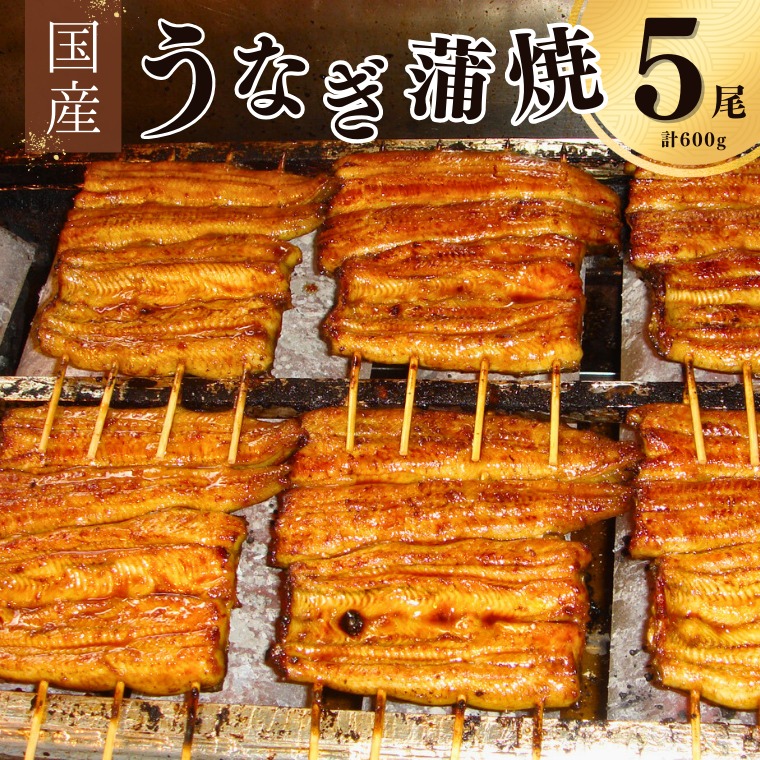 18506003 【安井家】国産鰻蒲焼 約120g×5パック千葉県我孫子市63000魚介・海産物