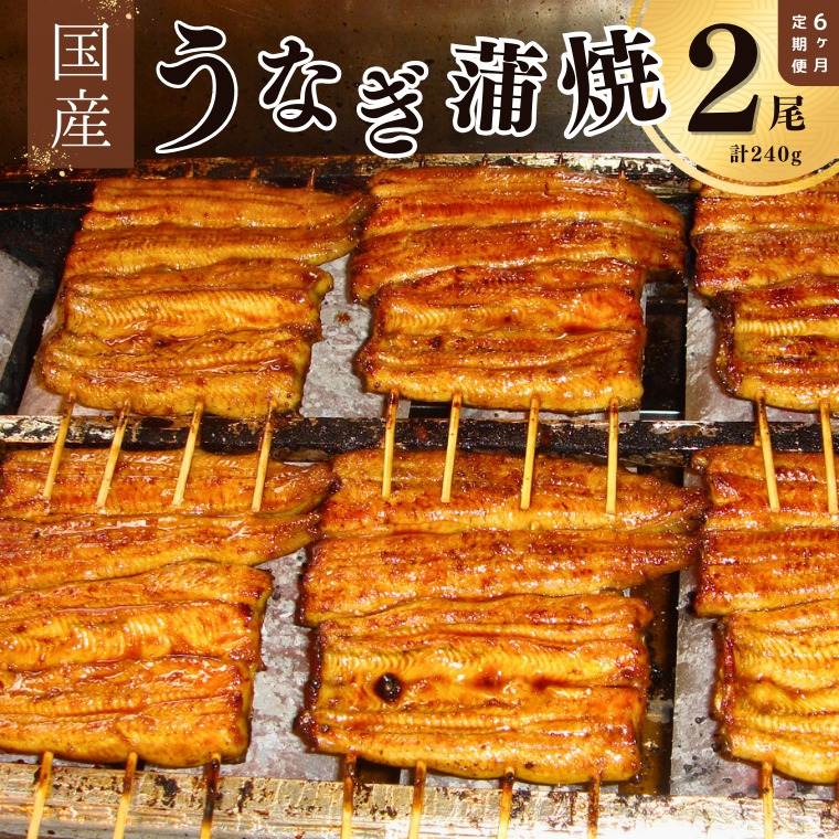 18506006 【毎月定期便6回】【安井家】国産鰻蒲焼 約120g×2パック千葉県我孫子市151200魚介・海産物