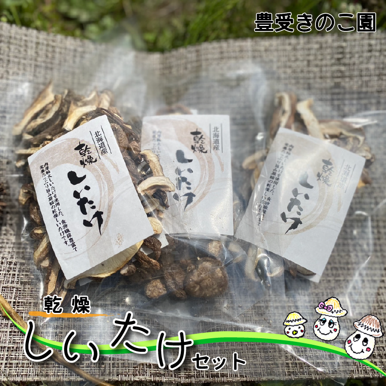 AV002 【豊受きのこ園】乾燥しいたけセット千葉県我孫子市10000野菜・きのこ