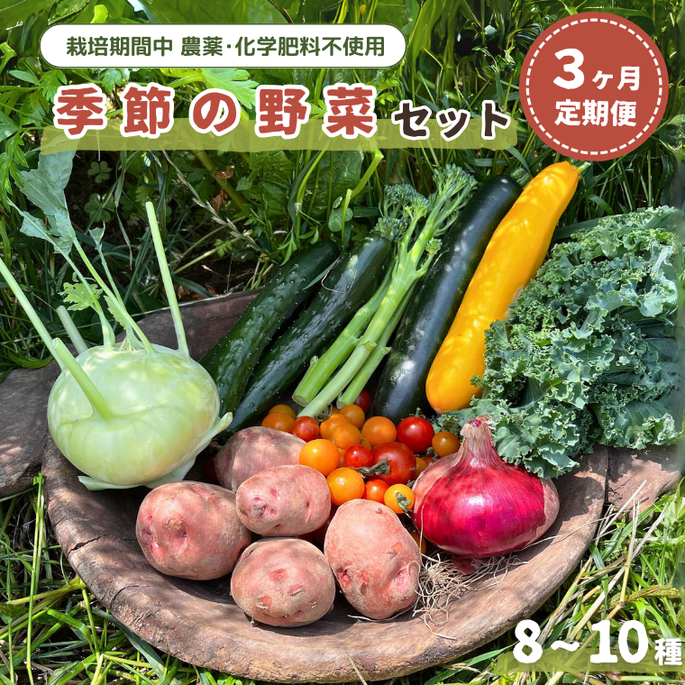 BG001-b 【毎月定期便3回】季節の野菜セット (8~10種)千葉県我孫子市30000野菜・きのこ
