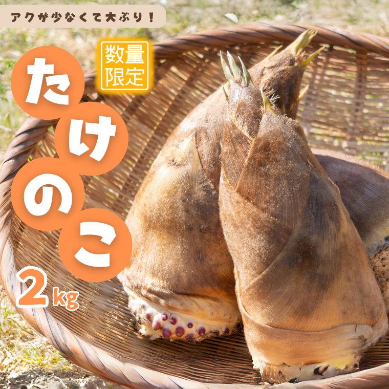 BJ001 䑷qsY ̂ 2kgt䑷qs10000؁Ê̑ 