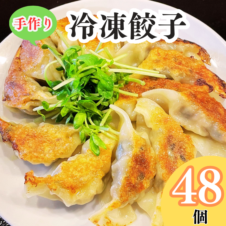 BP001 手作り冷凍餃子48個入り千葉県我孫子市10000肉その他 肉