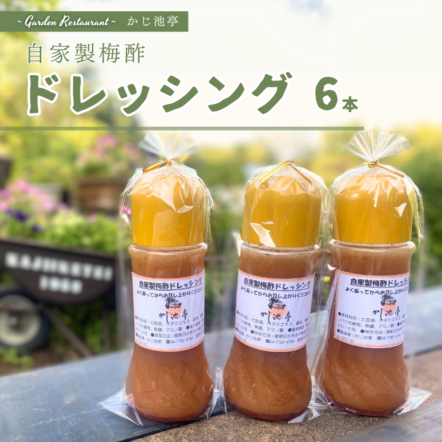 CA001-b 【かじ池亭特製】自家製ドレッシング 6本セット千葉県我孫子市24000調味料・油ドレッシング