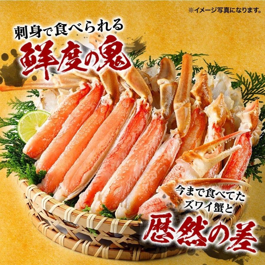 hg Jbg킢 700gɌ_ˎs16000ECYJj