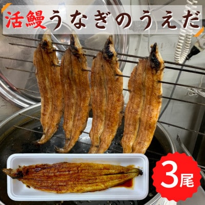 【3尾】活鰻 おいしいうな丼が作れる国産うなぎ蒲焼3本(タレ3ヶ入)【配送不可地域:離島】【1377104】大阪府高石市41000魚介・海産物うなぎ