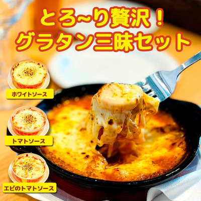 レンジで簡単!濃厚とろける 3種の贅沢グラタン(ホワイトソース・トマトソース・エビのトマトソース)【配送不可地域:離島】【1494983】大阪府高石市8000鍋セット・総菜・加工食品総菜