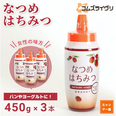 なつめはちみつ(純粋蜂蜜) 450g×3本【1642044】大阪府高石市9000鍋セット・総菜・加工食品ジャム・はちみつ