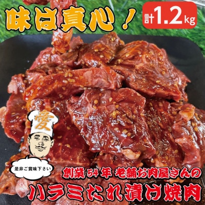 《約1.2kg》当店注文率No.1のハラミたれ漬け焼肉(甘口しょうゆ味) ホットプレート派に人気【配送不可地域:離島】【1677668】大阪府高石市15000肉牛肉