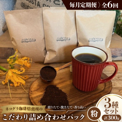 【毎月定期便】《粉3種計300g》ネコグラ珈琲焙煎所の煎りたて挽きたてコーヒーセット全6回【4064366】大阪府高石市60000お茶・飲料コーヒー・紅茶