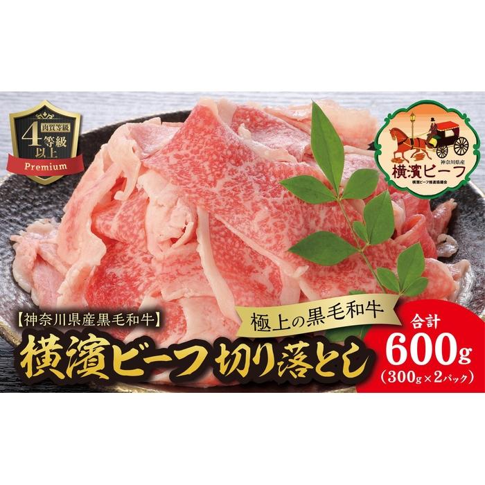 y_ސ쌧YјazȂuhF@ɏ̍јa@_r[t@؂藎Ƃ@300g×2_ސ쌧ls13000