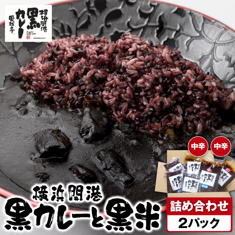 風我亭の横浜開港黒カレーと黒米の詰め合わせ 2パック【中辛2個】神奈川県横浜市10000鍋セット・総菜・加工食品総菜