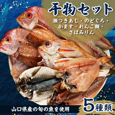 干物セット 5種類【配送不可地域:離島】【1385417】山口県長門市10000魚介・海産物干物