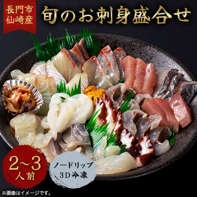 長門市 仙崎産 旬のお刺身盛合せ2-3人前 ノードリップ3D冷凍【配送不可地域:離島・北海道・沖縄】【1429653】山口県長門市15000魚介・海産物鮮魚
