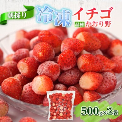 冷凍イチゴ(500g×2袋)【配送不可地域:離島】【1561631】山口県長門市10000果物・フルーツいちご