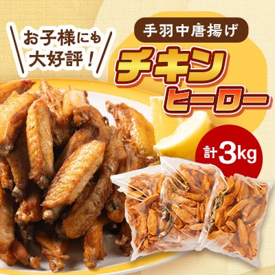 yցz`Lq[[ 1kg×3 Bǂؐg300g×6pbNS4yzsnFzy4057714zRs48000{