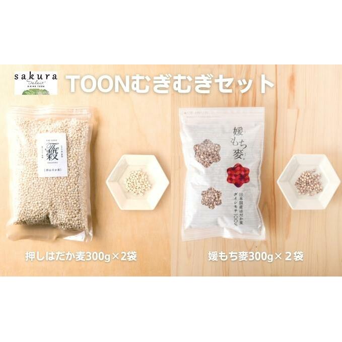 TOONむぎむぎセット 麦 もち麦 はだか麦 食物繊維 ご飯 サラダ スープ もちもち プチプチ 愛媛県東温市7000米・パン玄米・雑穀米・もち米・餅