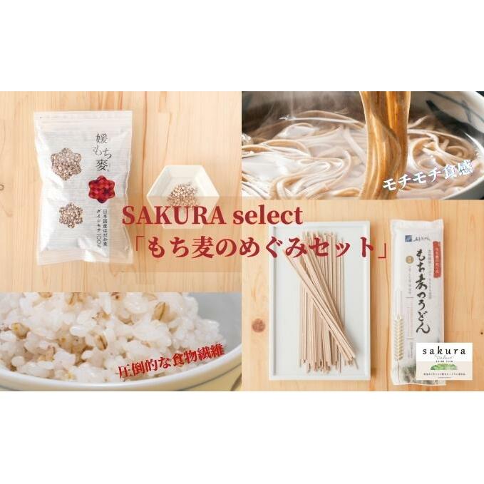 SAKURA select 「もち麦のめぐみセット」 麺類 うどん 乾麺 お米 食物繊維 主食 ランチ 昼ごはん 夜ごはん 夜食 愛媛県東温市12000麺
