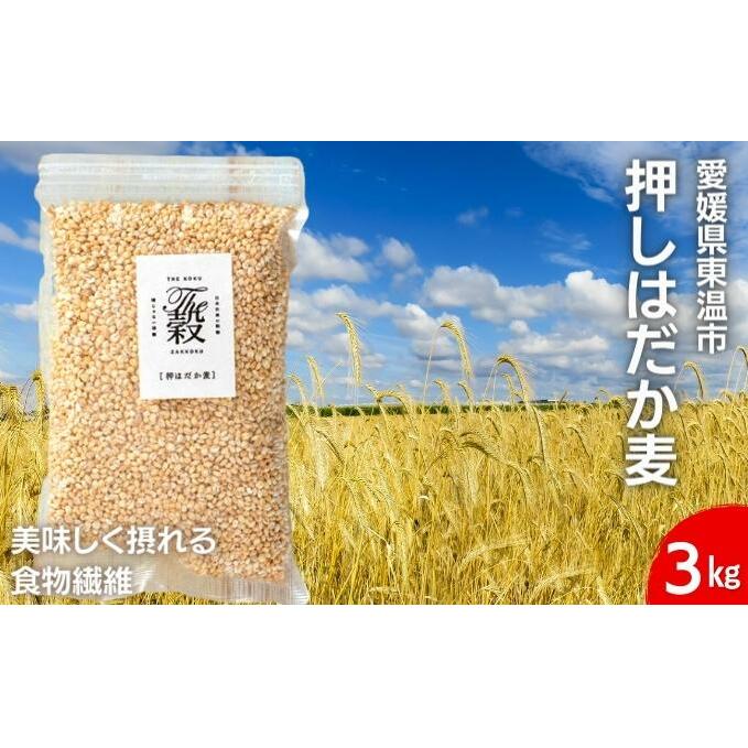 押しはだか麦 計3kg(1kg×3袋セット) 食物繊維豊富 食物繊維 食感 プチプチ あっさり 麦ごはん 食品 食べ物 ご飯 おにぎり お弁当 主食 毎日 炭水化物 国産 日本産 愛媛県産 東温市産 直送 産