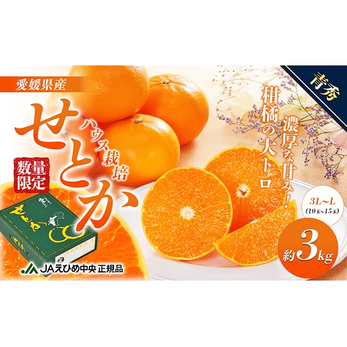 Ƃ nEX͔|@G@3kg ʕ ݂ k t[c H fU[g W[V[ Â RN  Y QY QYƂ Qs24000ʕEt[c݂Ek