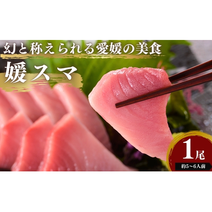 愛媛県産養殖「媛スマ」 魚介類 全身トロ 高級魚 臭みのない きめ細やか 脂 なめらか 柔らかい 美味しい 魚 漁獲 幻の魚 上品 愛媛県東温市36000魚介・海産物その他 魚介・海産物
